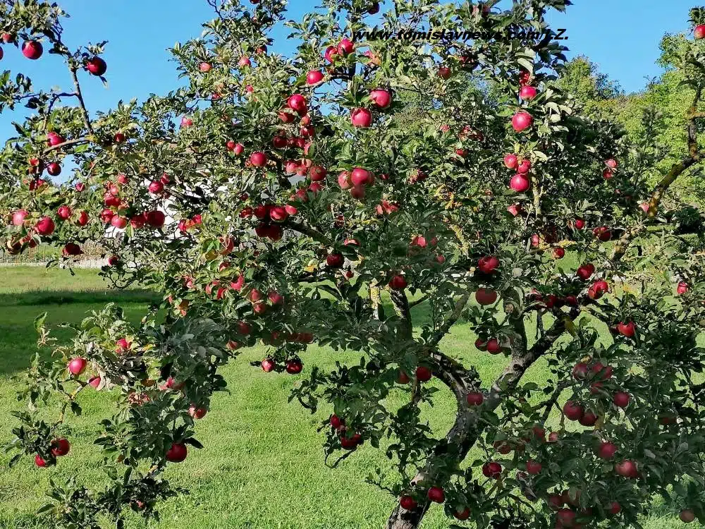 VIDEO/FOTO: DOBRO vam umjereno vedro jutro iz Tomislavgrada!