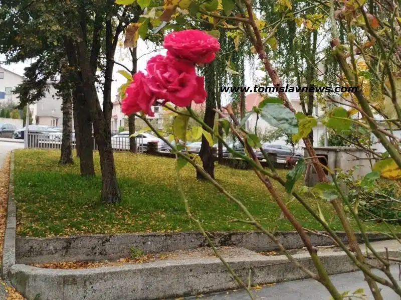 DOBRO vam oblačno i tiho jutro iz Tomislavgrada!