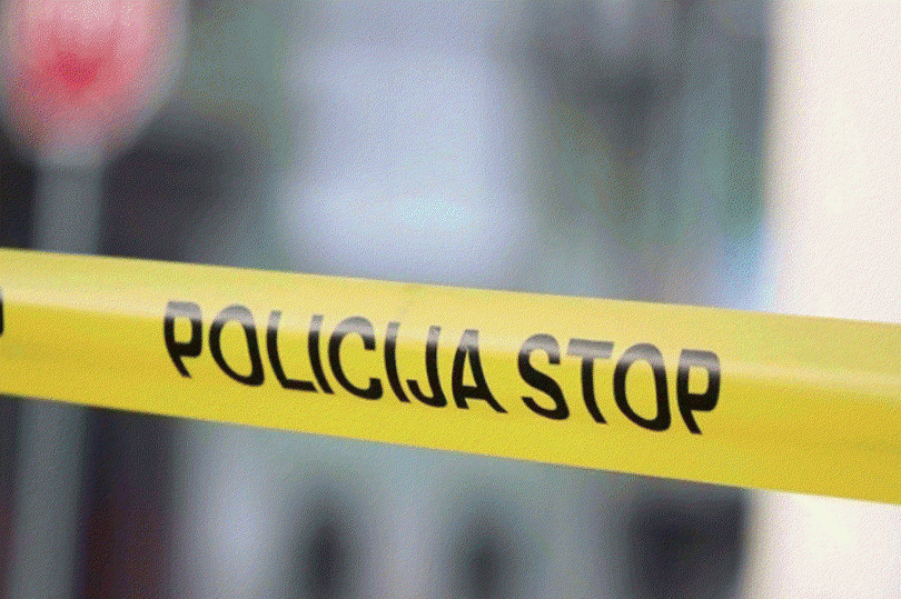policija ilustracija 696x463 810x539 1