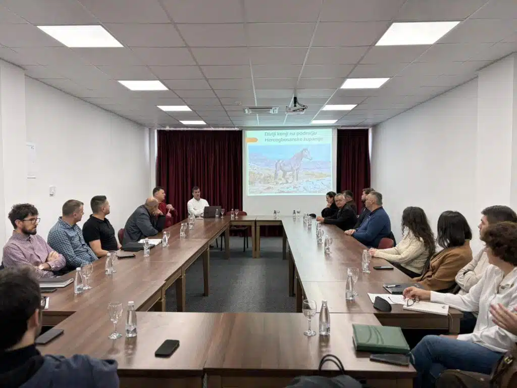 U Livnu održan okrugli stol o izradi stručne studije za racionalno upravljanje populacijom divljih konja