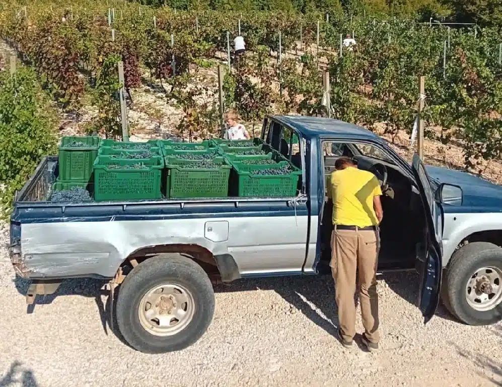 Pozitivna priča iz Gruda: Kada tradicija susretne moderni pristup i inkluziju