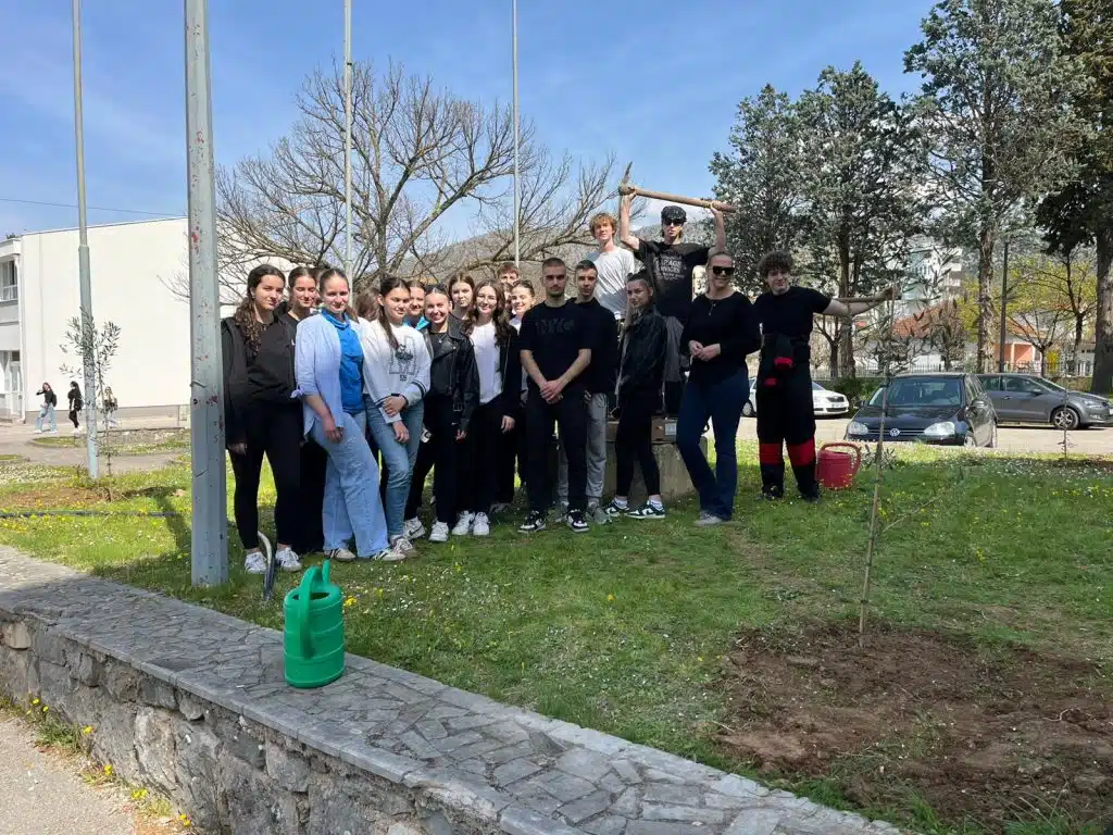 Gimnazija Ljubuški: Sadnja maslina u dvorištu škole