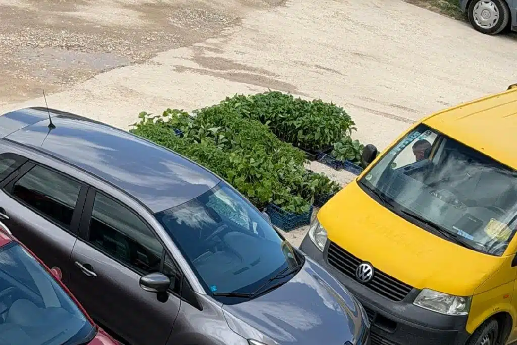 Javni apel stanara zbog nereda i zauzimanja parking prostora kod gradske tržnice u Tomislavgradu