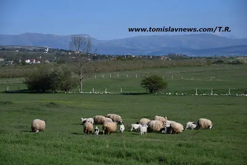 VIDEO: DOBRO vam vedro i razmjerno toplo jutro iz Tomislavgrada!