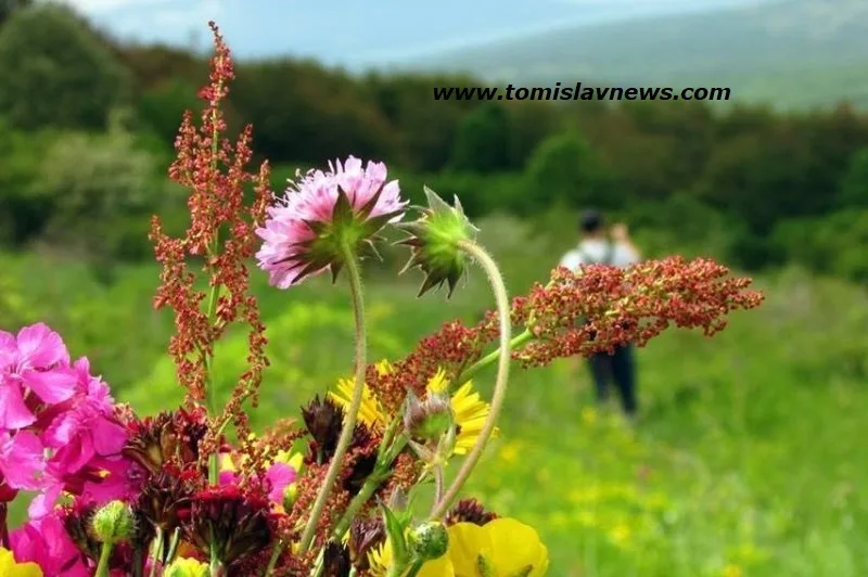 VIDEO: DOBRO vam umjereno vedro i toplo jutro iz Tomislavgrada!
