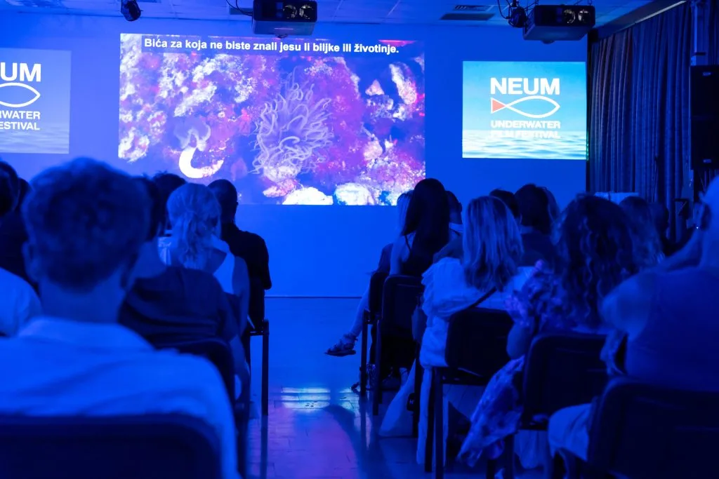 „MARINET TURTLES“ osvojio Grand Prix Neum Underwater Film Festivala 2026.
