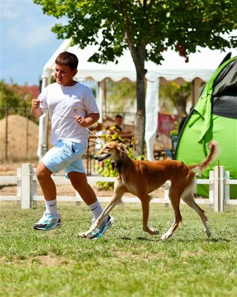 telegram foto 178