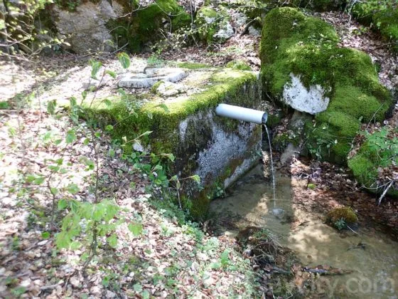 Lovci iz Tomislavgrada pune pojilišta kako bi divljač spasili od žeđi