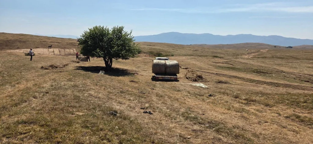 Spasitelji iz Cazina pomažu divljim konjima u Livnu