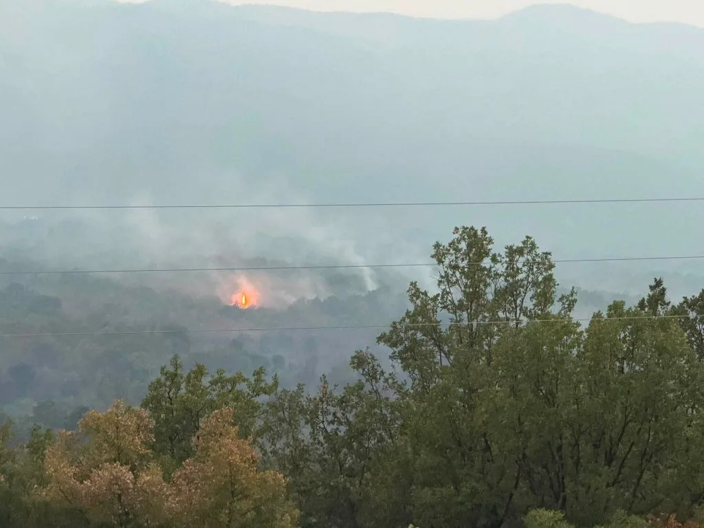 U 72 sata u ŽZH zabilježen 31 požar: Gorjelo više od 270 hektara površine