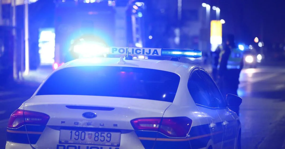 Pao diler iz BiH: Policijski pas nanjušio pola kilograma kokaina