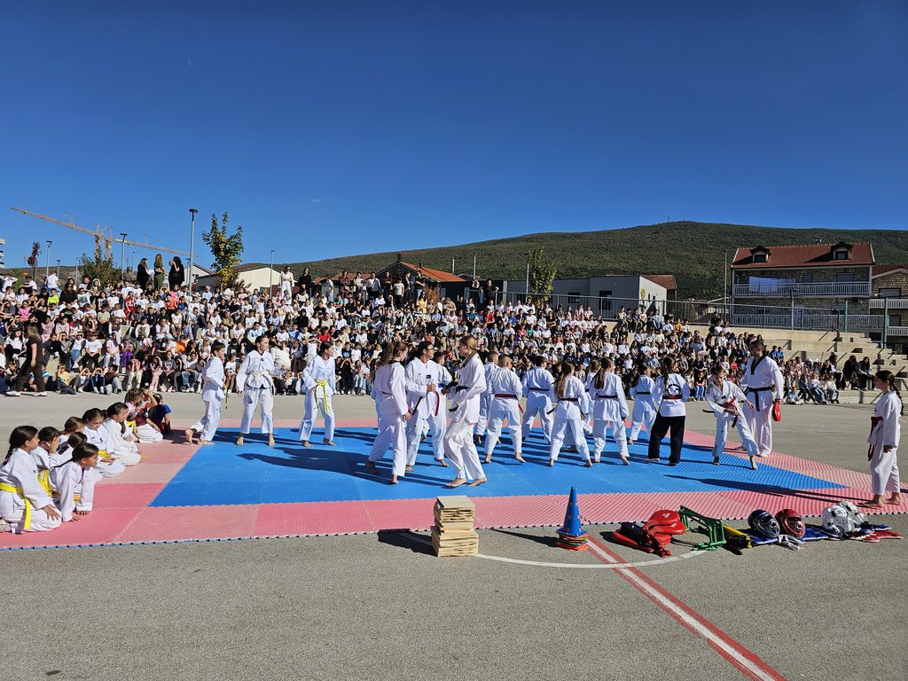 tkd 2026 3