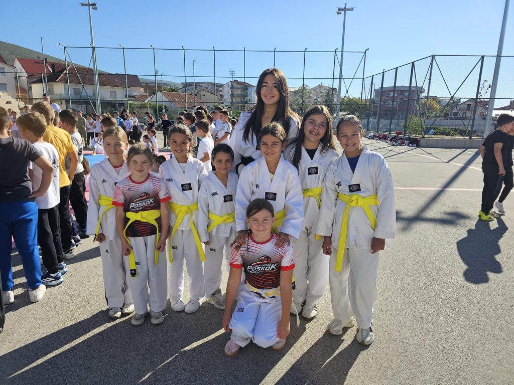 tkd 2026 7