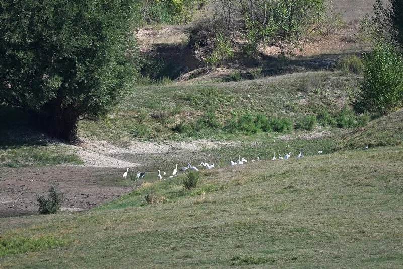 VIDEO: DOBRO vam vedro i tiho jutro iz Tomislavgrada!