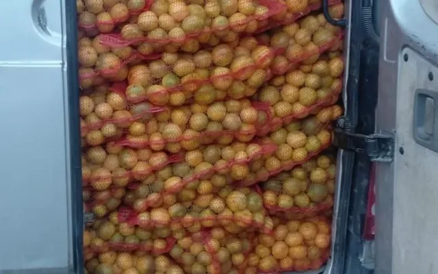 Zaustavljen kod Ljubuškog: Prevozio 4,5 tona mandarina iz Hrvatske
