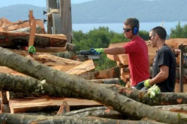 „Hercegbosanske šume“ već prodale 28 000 kubika drva, evo koje su cijene