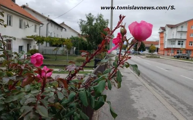 VIDEO: DOBRO vam umjereno vedro jutro iz Tomislavgrada!