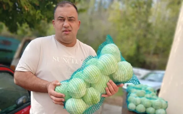 Od početnika do 30 tona kupusa: Jure Petrović za godinu dana proširio proizvodnju