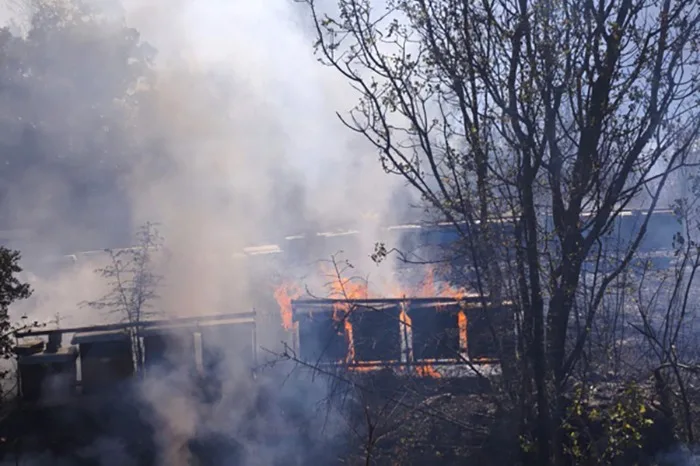 FOTO | U Trebižatu izgorjele košnice, šteta ogromna