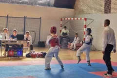 Tri desetljeća Livno Opena: Jubilarni turnir okupio 250 natjecatelja