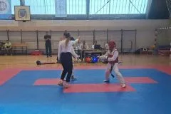 U Livnu održan jubilarni 30. međunarodni taekwondo turnir Livno Open