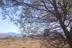 VIDEO: DOBRO vam pretežno vedro i hladno jutro iz Tomislavgrada!