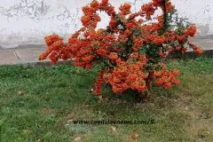 VIDEO: DOBRO vam umjereno oblačno jutro iz Tomislavgrada!